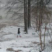 Shelley Wallace's photo