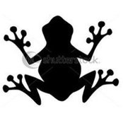 Armando Sotomayor's photo