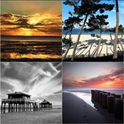 Martin Velic's photo