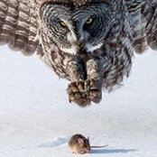 Jason Scribner's photo