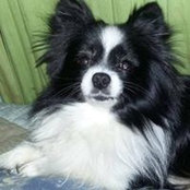 Stacy Bulgajewski's photo