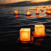 Cindy C.'s photo