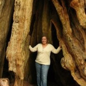 Kindell Williams's photo