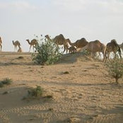 Diana Greene's photo