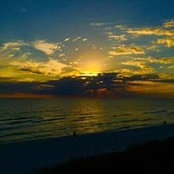 Traci Stevens's photo
