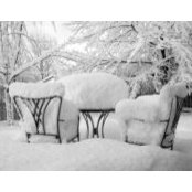 Gale Brunault's photo