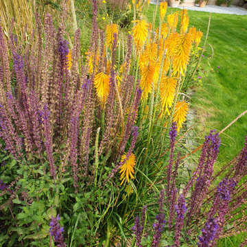 Aberdeen Planting Design: Orange and Purple - after