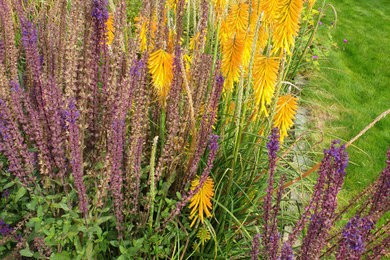 Aberdeen Planting Design: Orange and Purple - after