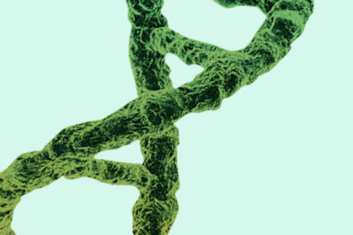 Chip Based DNA Synthesis