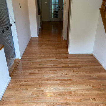 Refinish jobs: Floors