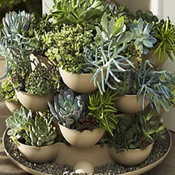 Patio / Porch Garden Planter with Cactus - Indoor Pots And Planters