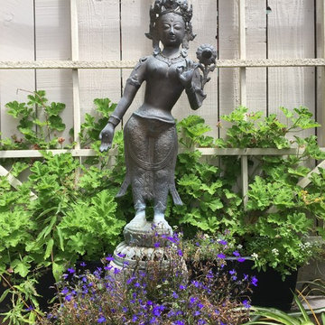 Garden path makeover