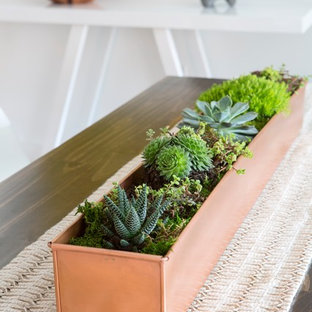 Идея дизайна: маленькая гостиная-столовая в стиле ретро с белыми стенами и светлым паркетным полом без камина