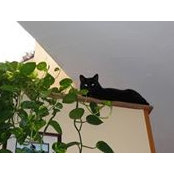 Barbara Asche Hotko's photo
