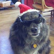 Lisa Murphy Weeks's photo