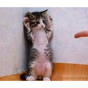 Carole Maina's photo