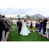 Elissa Iatridis's photo