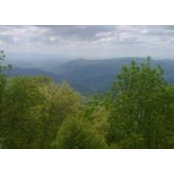 Sharon Ryals's photo