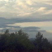 Kara Miller's photo