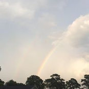 Melissa Adams's photo