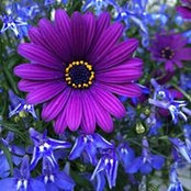 Kelly Beach's photo