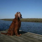 Lynn Kwiatkowski's photo