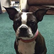 Nicole Reetz's photo