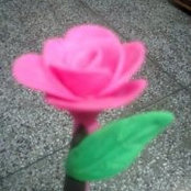 Foto di Vinay Kumar
