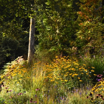 Forest Park