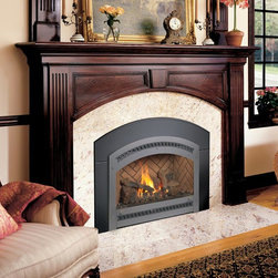 FireplaceX by Travis Industries - FireplaceX DVL GreenSmart Gas Insert - Indoor Fireplaces