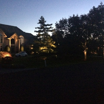 Lighting