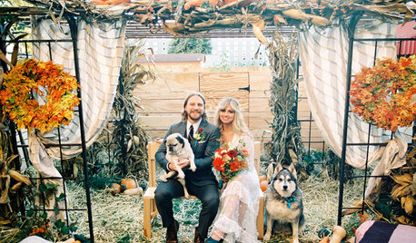 How One Couple Got a Perfectly Intimate Backyard Wedding