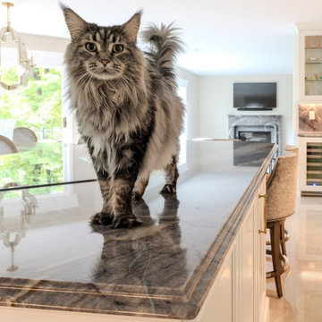 Zumaia Quartzite Kitchen - Dupont Edge