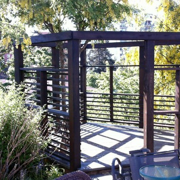 Gazebo, shed, fence and patio garden area