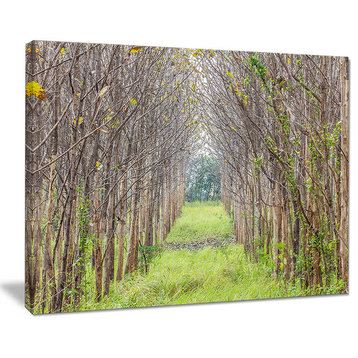 "Pathway Through Fall Green Trees" Landscape Photo Wall Art, 40"x30"