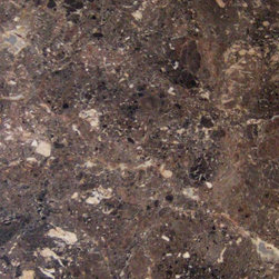 Breche Nouvelle Marble Slab - Kitchen Countertops