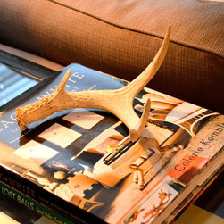 Accessories - Books