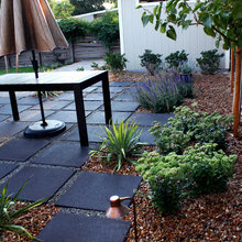 Fire Pit Area
