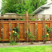 fence