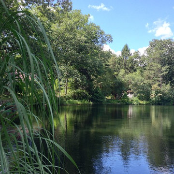 My Lake Cabin