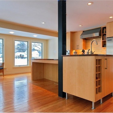 Modern Open Suburban Kitchen