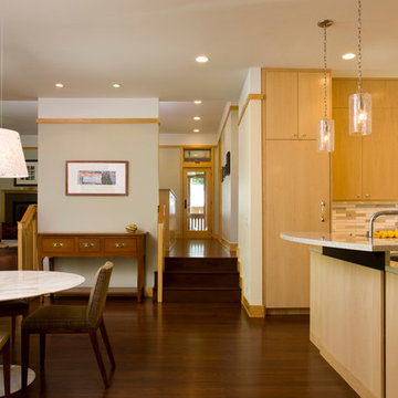LEED-Qualified Green New Construction - Wilmette, IL