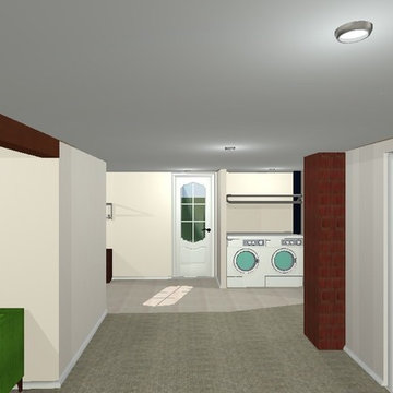 Basement Renovation