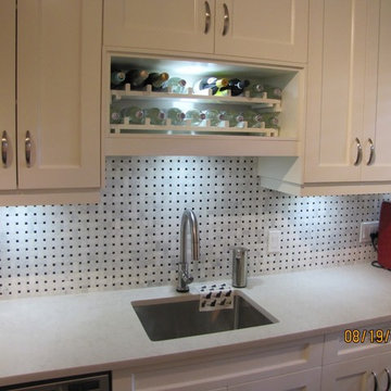 Full Kitchen Renovation in Condominium