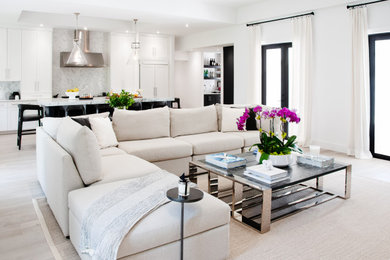 Example of a transitional living room design in Miami