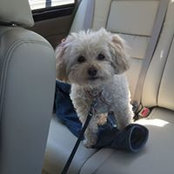 Jacquelyn Waters's photo