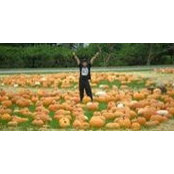 Joseph Depirri's photo