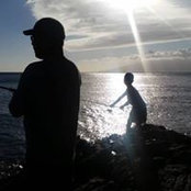 Todd Enoki's photo