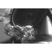 Foto de Jason Procaccini