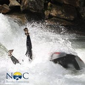 Allison Wilson's photo
